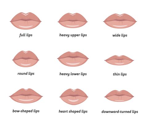 Best Lip Shapes For Your Face Indulgence Med Spa Pictures