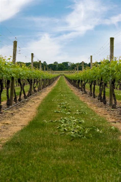 10 Fantastic New England Wineries And Vineyards To Visit In 2023 New