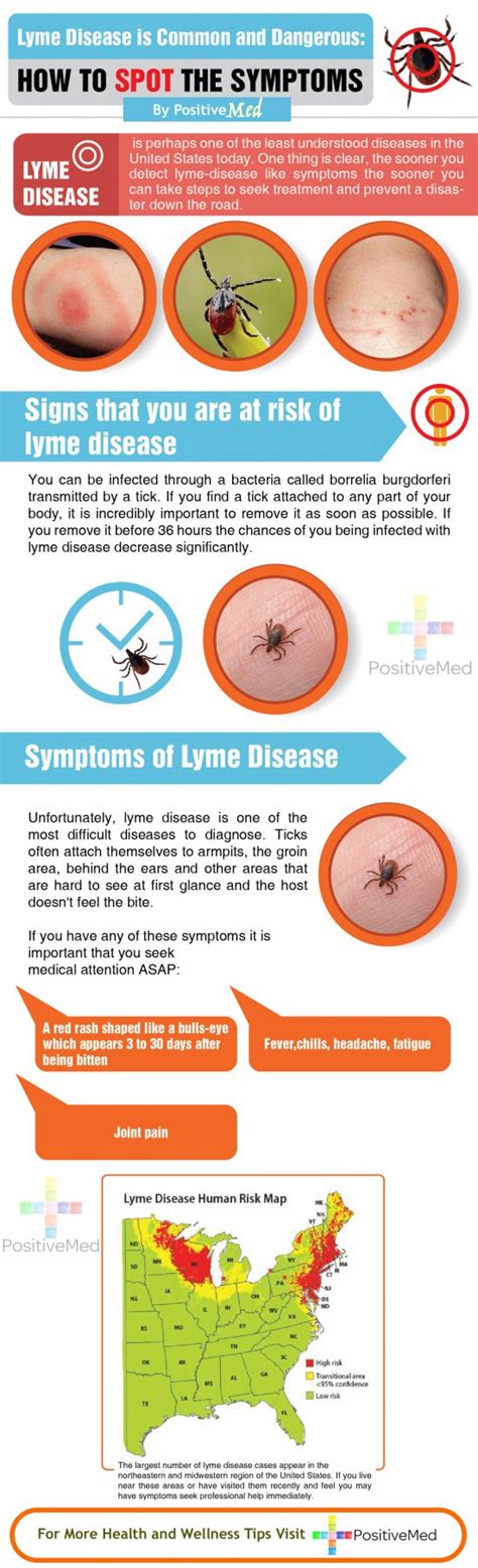 Lyme Disease Is Common And Dangerous See How You Can Spot The Symptoms