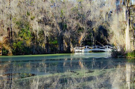 Bridge At The Magnolia Plantation M01229 Flickr