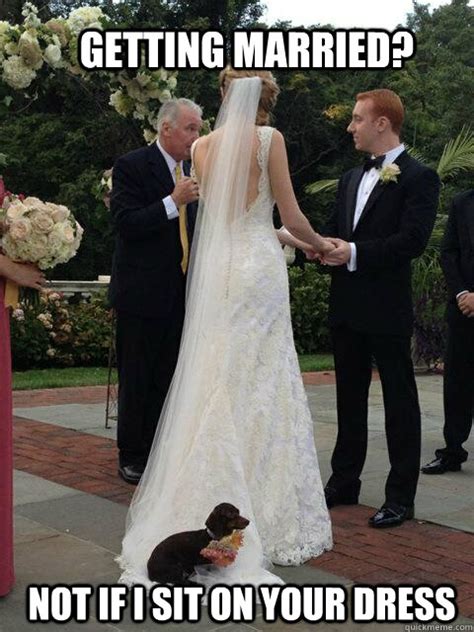 Getting Married Not If I Sit On Your Dress Overly Attached Dog