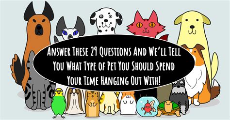 What Type Of Pet Should You Get Quiz