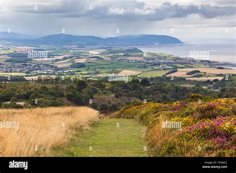 View From Beacon Hill On The Quantocks Looking Towards North Hill And