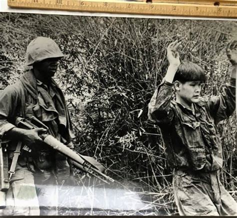 8 X 10 Photograph Of North Vietnamese Army Pow Enemy Militaria