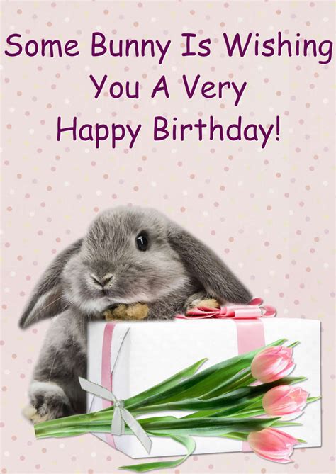 Some Bunny Birthday In Card Creator Gallery