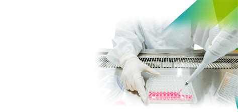 Cell Based In Vitro Assay Development Advanced Strategies For Bioanalytical Solutions Blogs