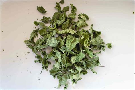 How To Dry Mint Leaves For Homemade Mint Tea