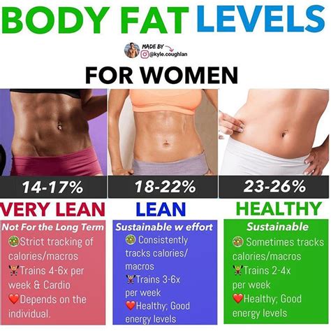 Body Fat Diagram