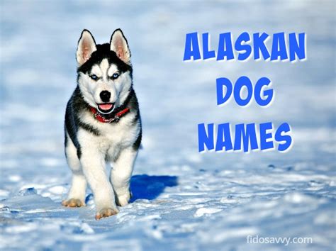 Traditional Alaskan Names Photos