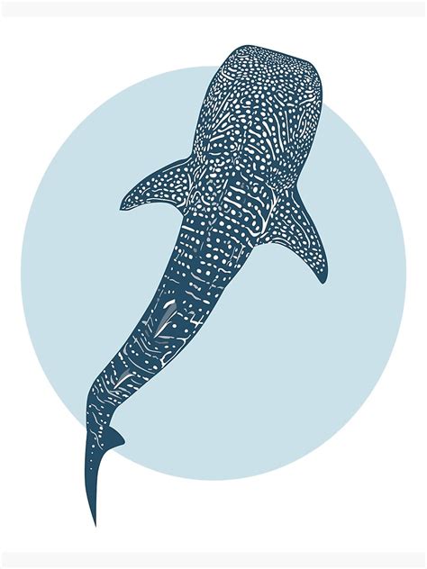 Whale Shark Blue Circle Poster For Sale By Sealarkart Redbubble