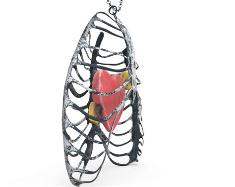 Necklace Rib Cage Heart 3d Model 40 Max Free3d