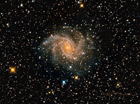 Ngc 6946 The Fireworks Galaxy Chamberlain Observatory