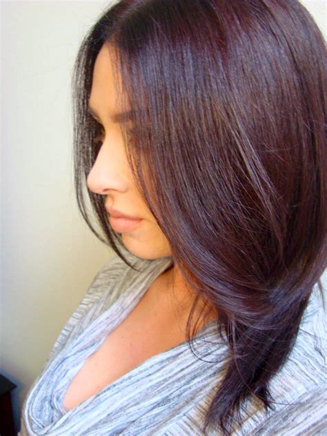 Age beautiful 4nn cream color age beautifil 20 volume. mahogany purple hair color - Google Search | Hair color ...