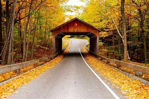 Road Trip To Michigans Must See Covered Bridges