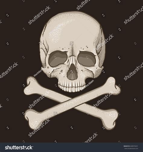 Skull Bones Jolly Roger Stock Vector Royalty Free 608970431