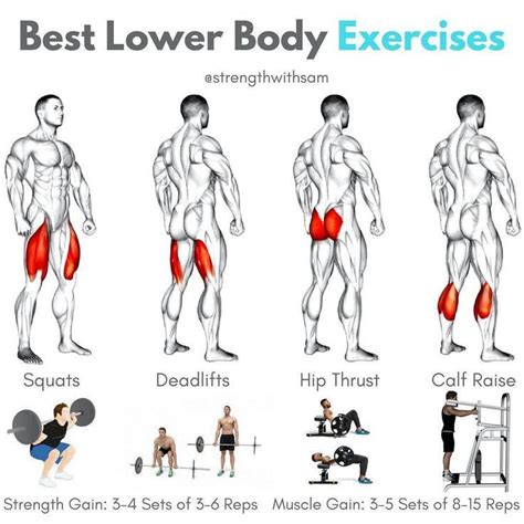 Best Lower Body Exercises Quadriceps Squats Back Or Fronthamstrings