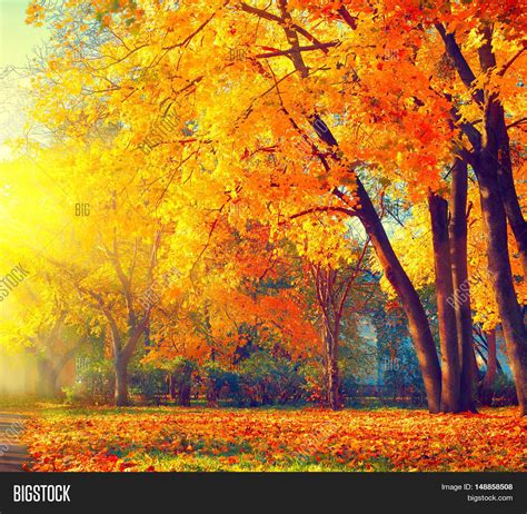 Autumn Fall Scene Beautiful Image And Photo Bigstock