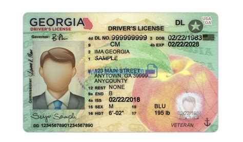 Georgia Driver License Psd Template High Quality Psd