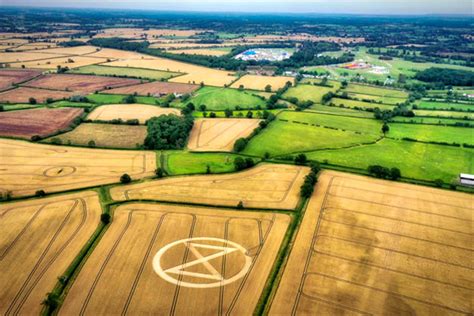 Giant Extinction Symbols Appear Around The World Olive