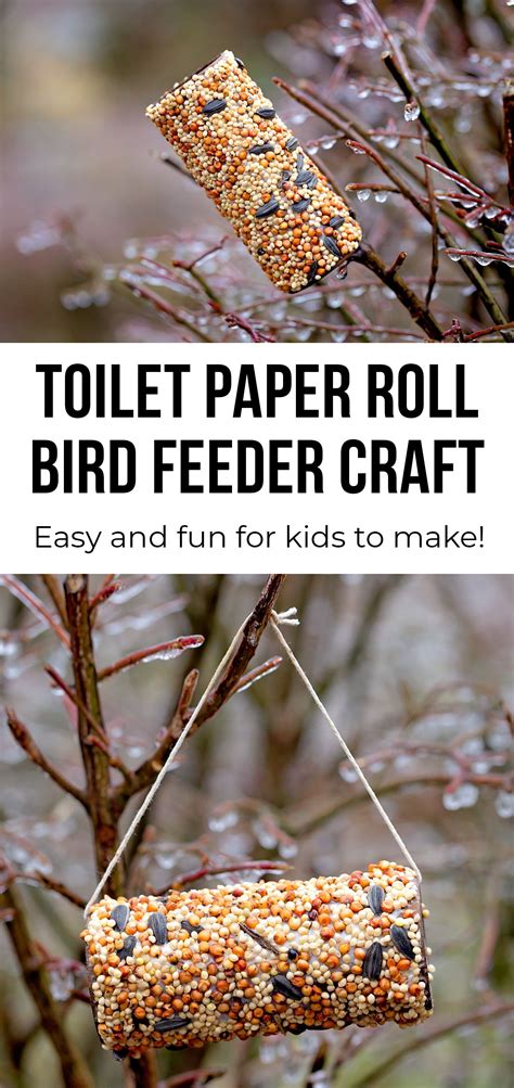 Toilet Paper Roll Bird Feeder Bird Feeders For Kids To Make Bird