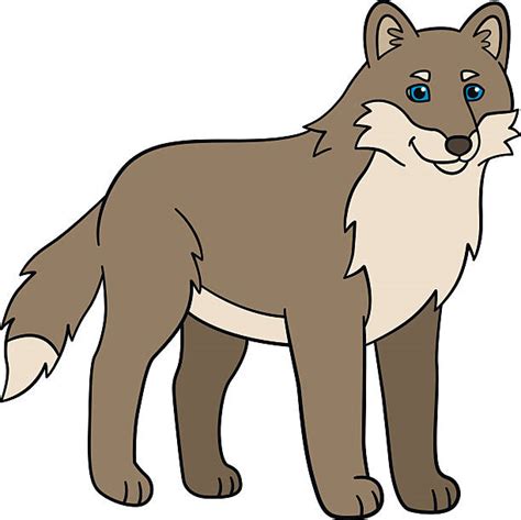 Coyote Clipart Free Download On Clipartmag