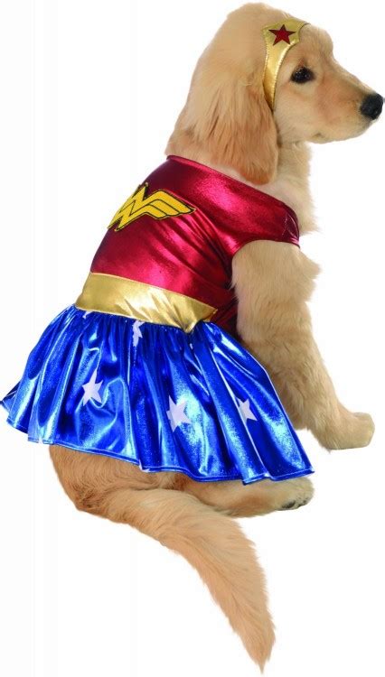 30 Amazing Dog Costumes For Halloween Puppy Leaks