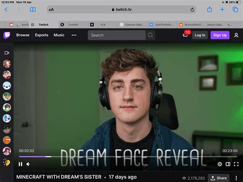 Dream Face Reveal Rdreamwastaken