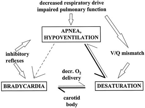 Neonatal Apnea Bradycardia Or Desaturation Does It Matter The