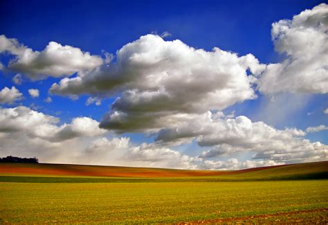 Free Images Landscape Nature Horizon Cloud Plant Sky Field