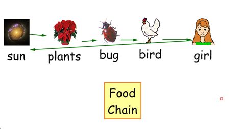The food web, which is a concept that expands on the. Technology @ Gattis: Food Chain in Kidspiration
