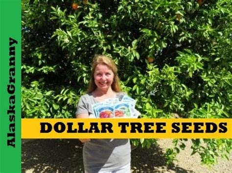 Surprise your loved ones with a fresh proflowers® flower delivery. Dollar Tree Seeds - Are They Worth It - Garden Tips Tricks ...