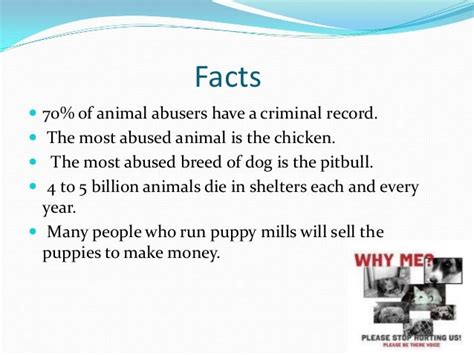 Dog Training Classes Los Angeles 10 Facts On Dog Abuse