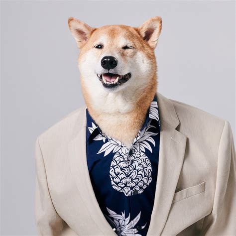 Menswear Dog The Most Stylish Dog In The World