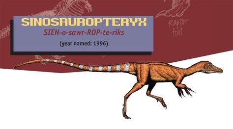 Jurassic Parkjurassic World Guide Sinosauro By Maastrichiangguy On