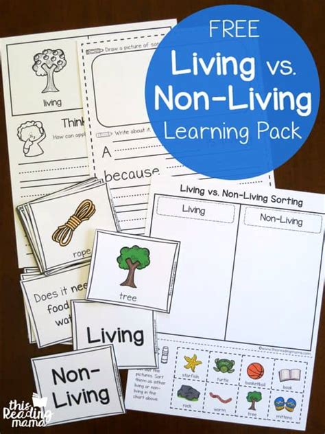 Living And Nonliving Kindergarten Worksheets