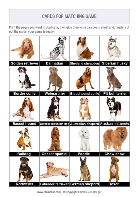 Printable Matching Game For Seniors Dog Breeds Print And Cut Out