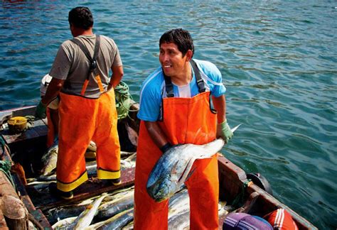 Pesca Peruana Con Buen Viento El Montonero