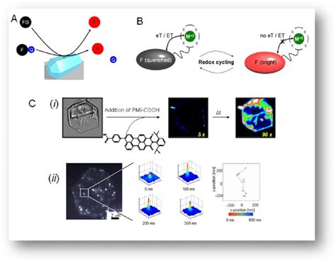 4 Fluorescence Based Visualization Of Catalytic Sites And Events A