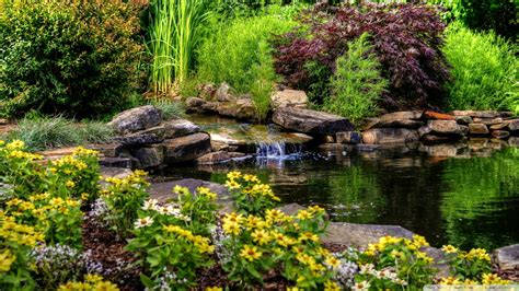 Small Pond With Flowers Wallpaper 1920x1080 Wallpaper 1920x1080