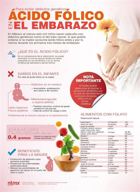 Cuando Es Mejor Tomar El Acido Folico - Ácido folico en el embarazo | Embarazo saludable, Embarazo, Alimentos