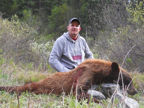 Idaho Bear Hunting Idaho Bear Hunts