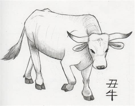 Ox Drawing At Explore Collection Of Ox Drawing