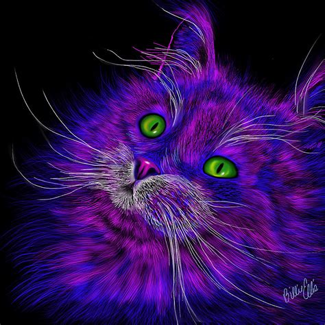 Cat Electric Digital Art By Billie Jo Ellis