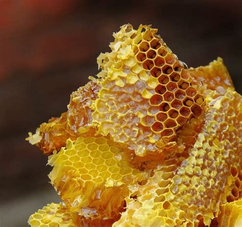 Golden Honeycomb Stock Image Image Of Sweet Abstract 13798529