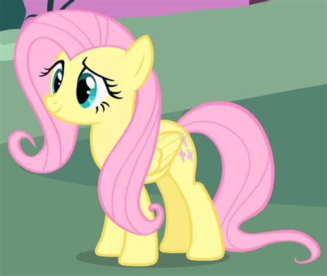 Fluttershy My Little Pony Wikia Fandom Powered By Wikia