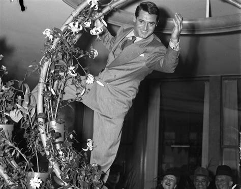 Merry Christmas From Cary Grant Fly By Butterfly 🦋 Photo 43705918 Fanpop
