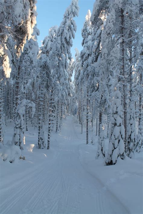 Varjola Resort Snowshoe Trek To Finnish Forest Visit Finland