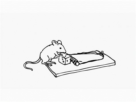 We did not find results for: Mouse Caught in Mouse Trap Drawing 2D Animation by Retro Vectors Limited on Dribbble