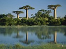Madagascar | Travel the World