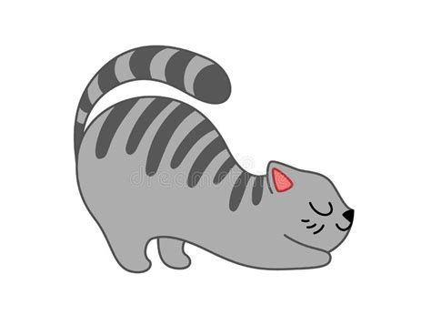 A Fluffy Gray Cat With Black Stripes Lies Down Stock Vector